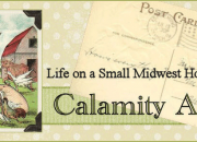 Calamity_Acres_Banner_1_Aca