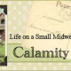 Calamity_Acres_Banner_1_Aca